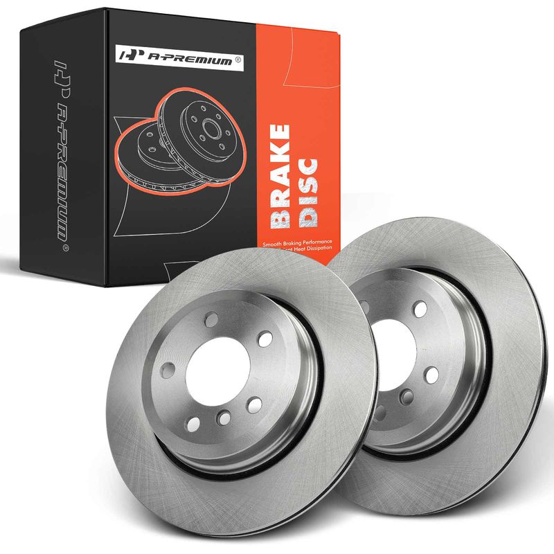 Rear Disc Brake Rotors for BMW X3 2004-2011 E83 F25 317.5 mm