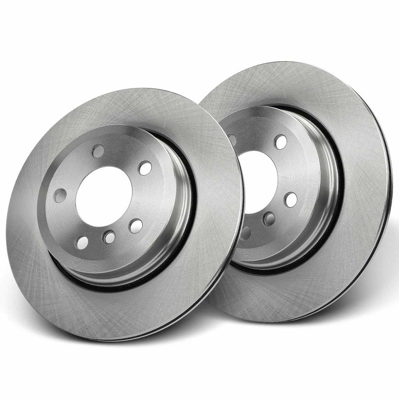Rear Disc Brake Rotors for BMW X3 2004-2011 E83 F25 317.5 mm