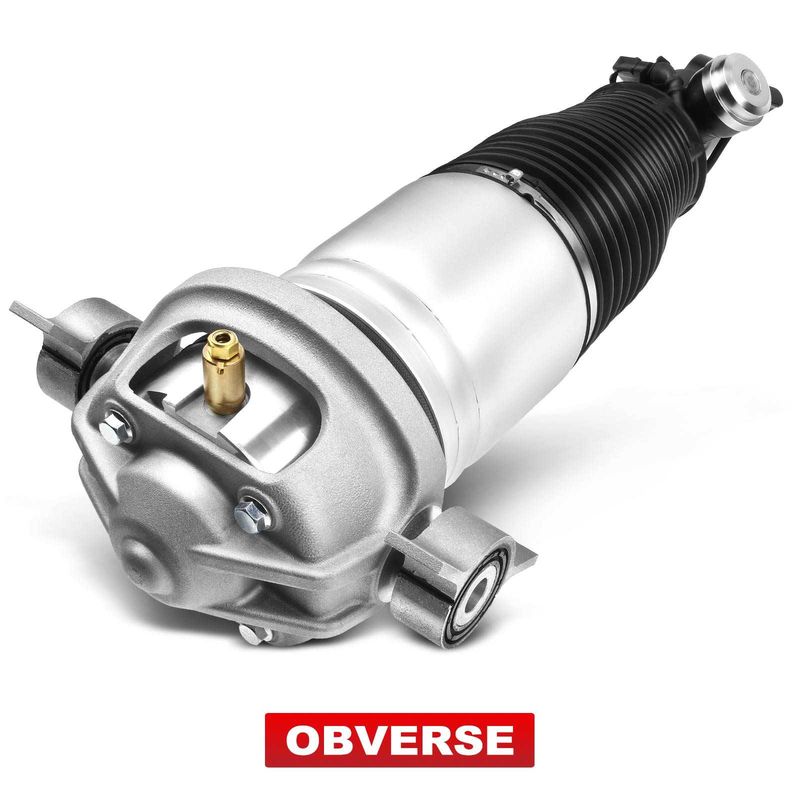 Rear Passenger Air Suspension Strut for Audi Q7 VW Touareg Porsche Cayenne